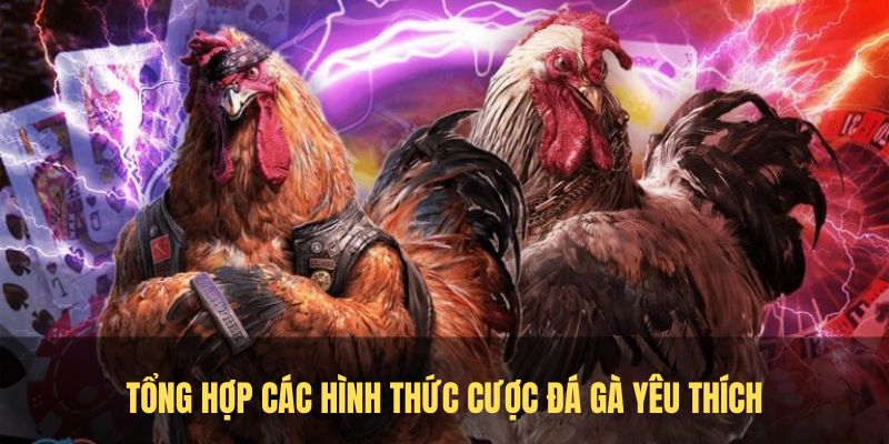 Tổng hợp các hình thức cược đá gà yêu thích